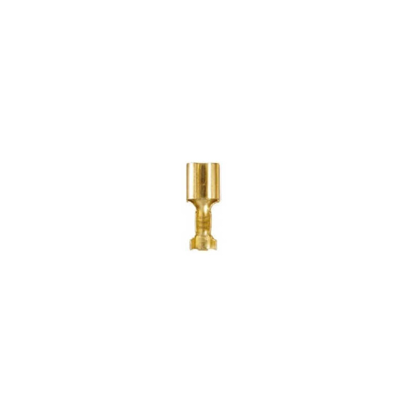 Terminal de Bronce LCT 224 Ancho Placa 5.0mm Hembra (Chica) Terminal de Bronce LCT 224 Ancho Placa 5.0mm Hembra (Chica)