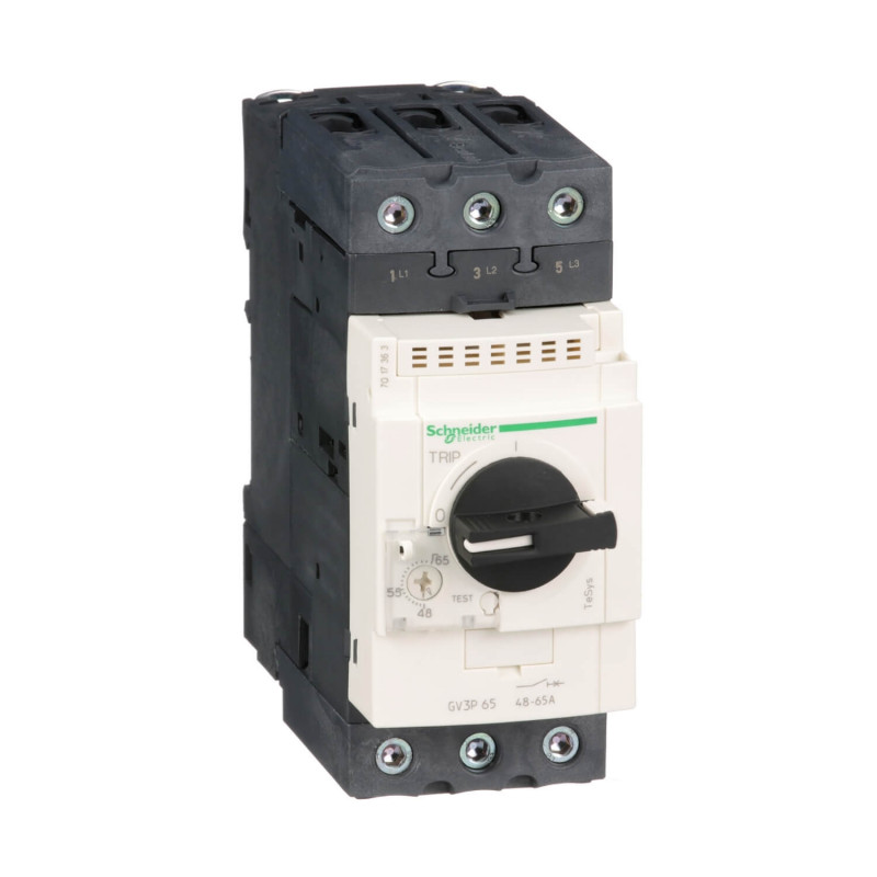 Guardamotor SCHNEIDER magnético térmico tripolar 48/65a 50ka