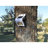 Luz solar NISUTA para pared con sensor de movimiento y luz secundaria