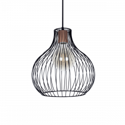 Colgante jaula gota CARILUX A10 1 luz D35cms negro