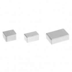 Tapa Final DEXSON 20x12mm