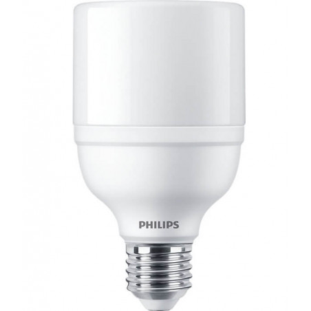 Lámpara Led PHILIPS T70 LEDBRIGHT bulbo E27 20w 6500k luz fria