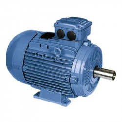 Motor trifásico WEG 3CV 3000rpm 220/380V IP55 90L B3