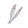 Cargador PRO21 USB-C 20w blanco con cable