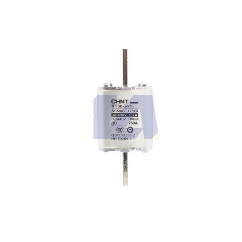 Fusible CHINT NG T01 225a gG