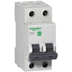 Térmica SCHNEIDER EASY9 bipolar 2P de 10A 4.5Ka curva C