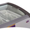 Freezer exhibidor INELRO FIH350PIPLUS 279 Litros gris