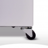 Freezer exhibidor INELRO FIH350PIPLUS 279 Litros gris