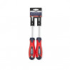 Kit 2 destornilladores BREMEN punta plana y phillips 5x100 mm