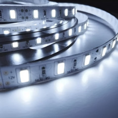 Tira led MACROLED flexible IP20 16W 600led 12v 6500K luz fría por metro