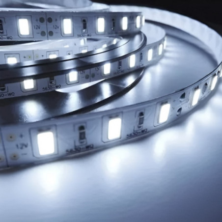 Tira led MACROLED flexible IP20 16W 600led 12v 6500K luz fría por metro