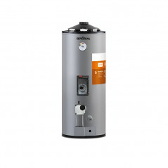 Termotanque eléctrico/gas SEÑORIAL TGEP-50 base dual 48 litros carga superior e inferior