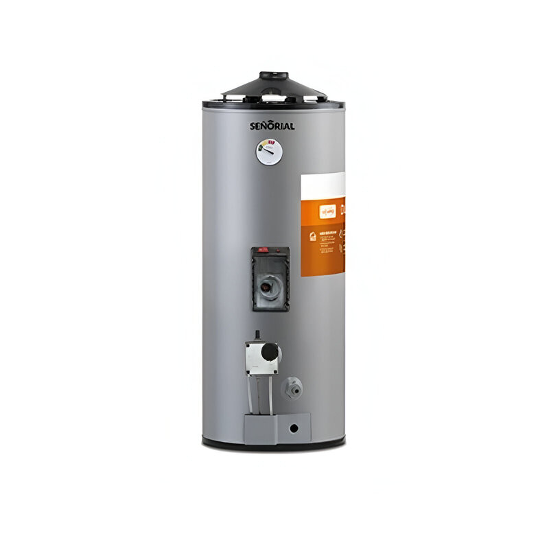 Termotanque eléctrico/gas SEÑORIAL TGEP-50 base dual 48 litros carga superior e inferior
