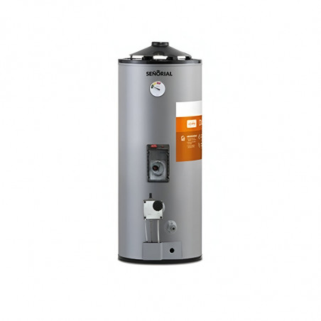 Termotanque eléctrico/gas SEÑORIAL TGEP-50 base dual 48 litros carga superior e inferior