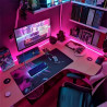 Tira led ILUMROS NEON IP65 11mm 12V luz rosa por 5 metros