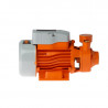 Electrobomba LUSQTOFF CPM150 periférica 0.5HP 220V 27 Litros/min