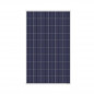 Panel solar AMERISOLAR 160W policristalino 36 celdas