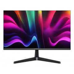 Monitor NOBLEX XSM2500 25'' Full HD IPS 100Hz
