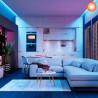 Tira led LEDVANCE PERFORMANCE FLEX IP20 14.5W 24v RGB por 5 metros