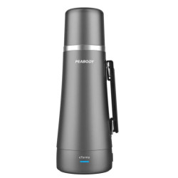 Termo eléctrico PEABODY PE-ETA1001D 1 litro 700W acero inoxidable gris oscuro outlet