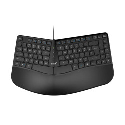 Teclado GENIUS ERGO KB-700 USB Negro