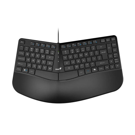 Teclado GENIUS ERGO KB-700 USB Negro