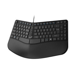 Teclado GENIUS ERGO KB-700 USB Negro