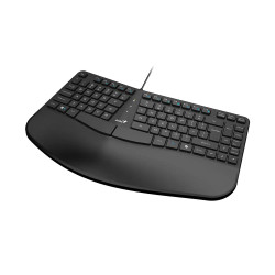 Teclado GENIUS ERGO KB-700 USB Negro