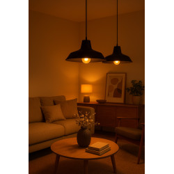 Colgante FERROLUX BADAJOZ para 1 luz E27 chapa negro