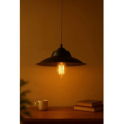 Colgante FERROLUX para 1 luz E27 chapa negro