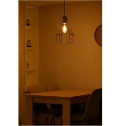 Colgante SAN JUSTO CARDALES jaula botella para 1 luz E27 negro