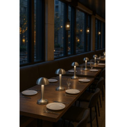 Velador led ILUMROS honguito 3W USB recargable 2700-6500K platil