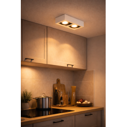 Plafón SAN LORENZO CARDANICO rectangular para 2 luces GU10 AR111 blanco