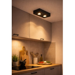 Plafón SAN JUSTO LAGUNA para 2 luces GU10 AR111 móvil negro