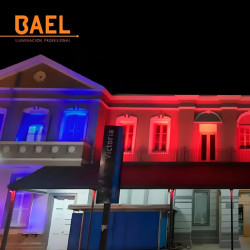 Reflector led BAEL POINTER PRO IP65  50W 5500lm rojo