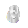 GENIUS MOUSE WIRELESS ERGO 9000S PRO 2.4GHZ Y BLUETOOTH CHAMPAGNE