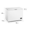 Freezer Horizontal GAFA FGHI302B-L 316 Litros Inverter blanco