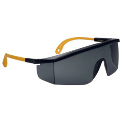 Anteojo de seguridad DELTA PLUS kilimandjaro negro